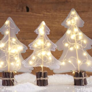 Illuminated Christmas trees