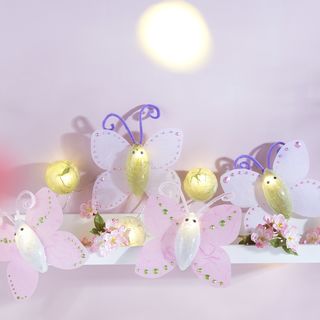 Acrylic Shaped Butterfly Fairy Lights