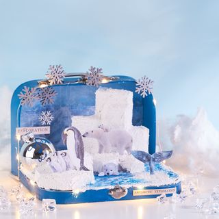  Miniature polar world in a suitcase