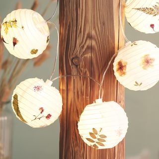 Lanterns with dried flowers