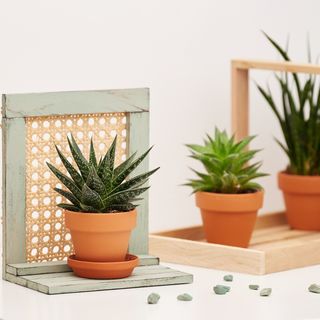 Decorative frame for plant pot