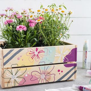 Colourful planter box